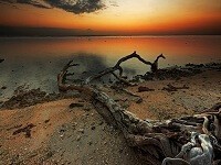 Beberapa Kisah Pemurtadan Wanita Muslimah